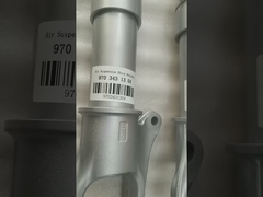 Front Air Suspension Shock Absorber Core for Porsche Panamera 970 2010-2016 97034305108