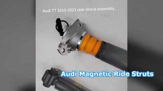 Audi TT A3 S3 RS3 Magnetische Fahrstreben