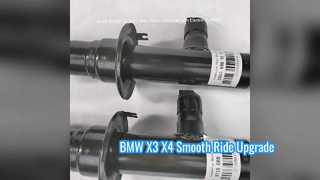 BMW X3 G01 X4 G02 EDC-Stoßdämpfer hinten austauschen