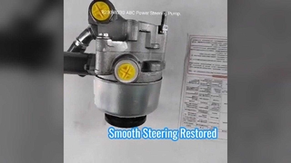 Austausch der Servolenkungspumpe des Mercedes SL