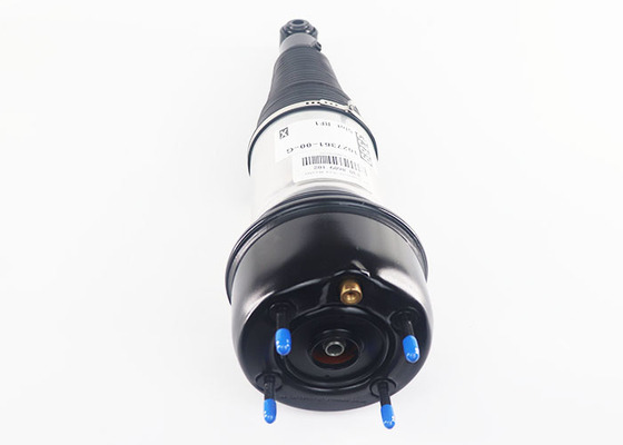 Links der Rückseiten-F308609102 oder rechter Luft-Suspendierungs-Stoßdämpfer für Jaguar XJ Super-V8 XJ8 XJR 2004-2010