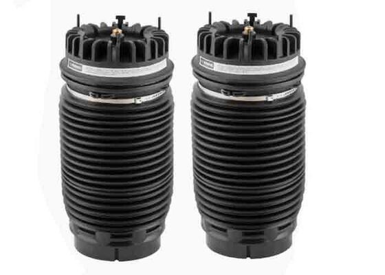 04877136AA 04877136AB Rückenluftfederungstüten für Dodge Ram 1500 Classic 2013-2018 Links & Rechts